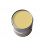 Farrow & Ball Paint  100ml Sample Pot Citron No. 74